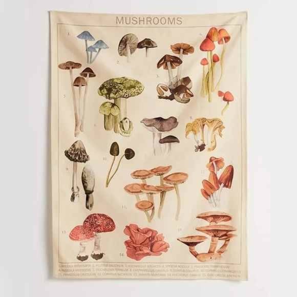 Mushroom Varieties Chart Tapestry Wall Decor - Picture 4 of 7